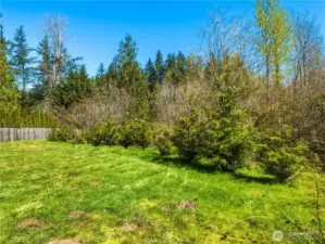 Private yard with lots of trees