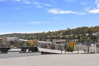 View from rooftop deck