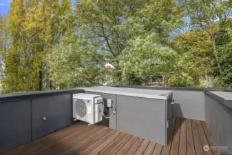 Tree view from rooftop deck