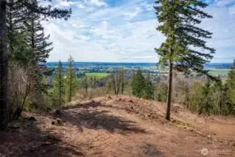 Ideal build site