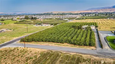 Overview of the property