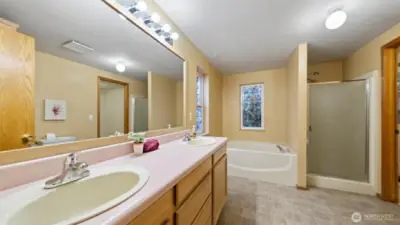 Large primary bath, soaking tub