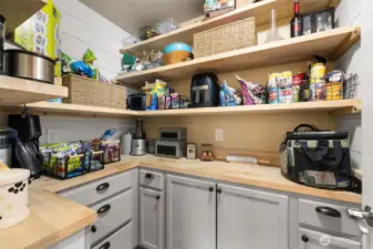 Walk in pantry with abundant storage.