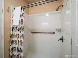 A walk-in shower makes getting ready in the morning easy.