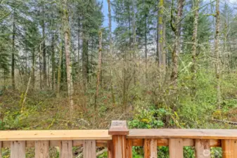 Back deck with replaced 2x4