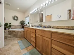 Main Floor Primary Bathroom w/ Walk In Closet.