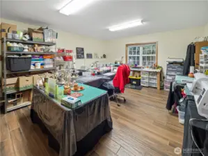 Downstairs den/office/craft room.