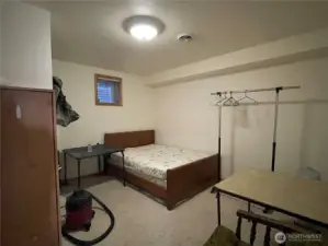 lower level bedroom