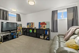Bonus/media room