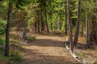 Neighborhood hiking trail  providing access to the national forest is right out your back door.
