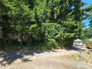 South west corner of lot is survey marked in the trees.
