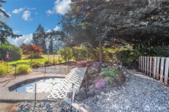 Relax watching the Gold Fish  swim buy in the lilly pads