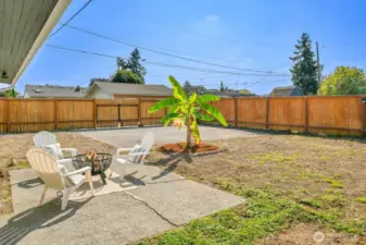 Back yard patio area