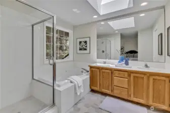 Separate shower + garden tub.  Dual sinks and vanity with storage.  Separate toilet room to right.  Note skylight.