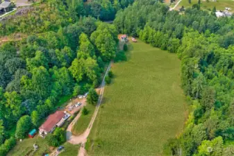 Clear view of driveway round about and trees that separate neighbors