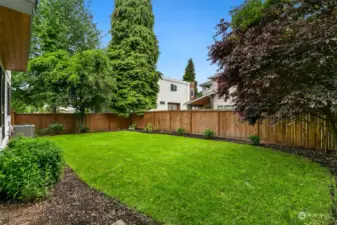 Back yard is fully fenced. *Photo taken in late Spring.