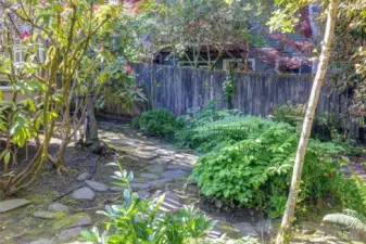 Rear yard.