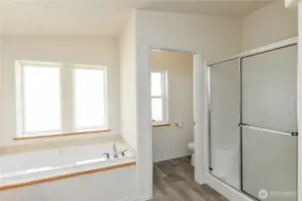 Master tub, shower and lavatory