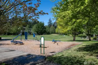A local escape at your community park