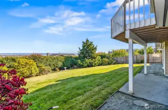 fenced back yard