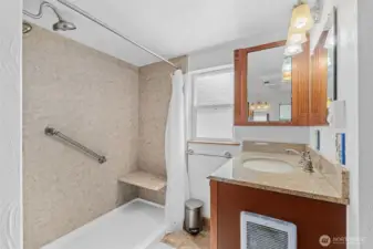 Primary Bath-walk-in shower