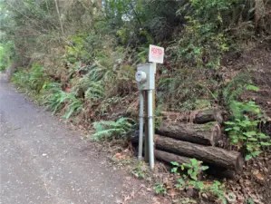 Approximate NE corner of property - no survey corner found.