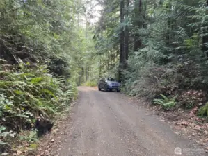 property for sale is on right side of road, good spot to put in a new driveway up to level location on the lot.