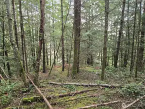 level portion in the middle on the north side.