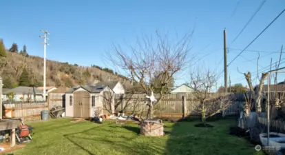 Garden space with fruit trees