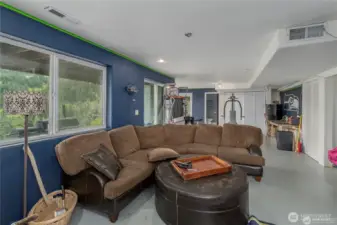 Basement Rec room