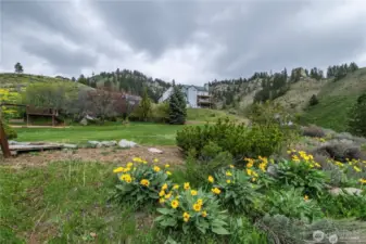 Looking from play ground NW to house and Spring sunflowers