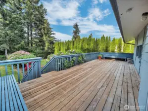 Entertainers style upper deck off of living room.