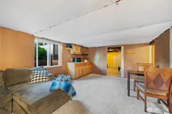 Lower level living room