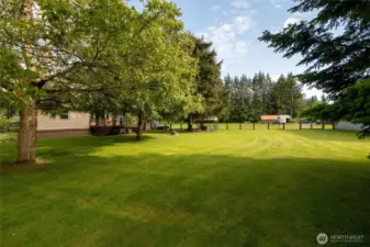 Tons of space in the backyard!