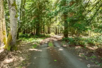 Tucked away down an unassuming, quiet, tree lined driveway.