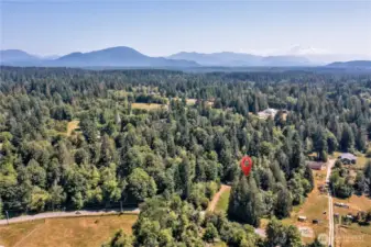 Beautiful & quiet rural Maple Valley/Hobart area ~
