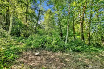 Well head sits approximately 100' straight behind the mobile home.
