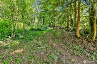 Cleared "trail"