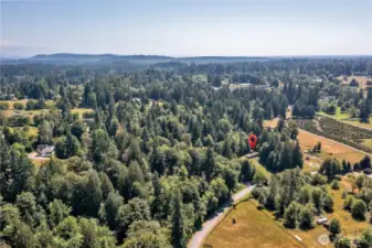 Quiet rural area surrounded by other large parcels ~