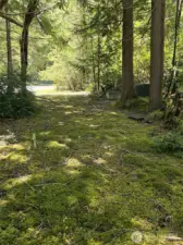 Driveway into lot from street