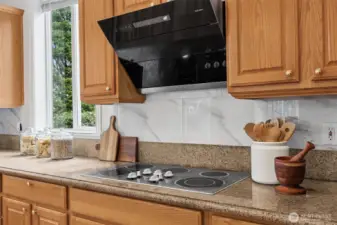 New electronic range hood with hands free voice activation!