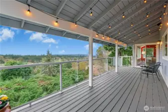 Composite Decking and clear railings with undermount LED lighting (controlled via app) on every level of this 3 story home.  Party lights on main level stay with home.