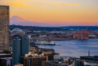 Welcome Home! Iconic Seattle Views from Every Room!