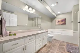 Primary Bathroom with tub & walk-in shower.