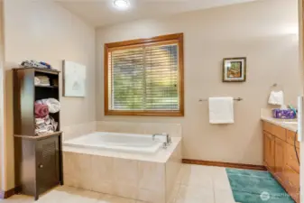 The spacious soaking tub is ideal for those cold northwest evenings.