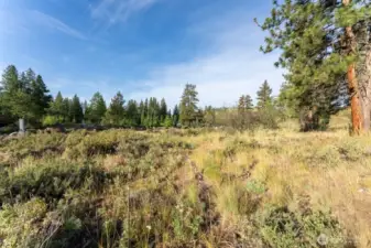 615 Pine Loop North Village Winthrop is a 7536 square foot building lot in Winthrop's newest neighborhood.