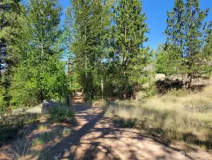 Se Teek Wa trail is soothing and tranquil to the North Village Lot owners enjoyment every day of the year.