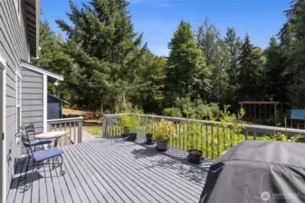 Get some sun out on the back deck!