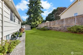 Side yard