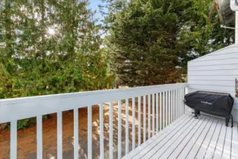 Off the dining room is a perfectly sized deck/balcony. With Western exposure, the evenings here are nice.